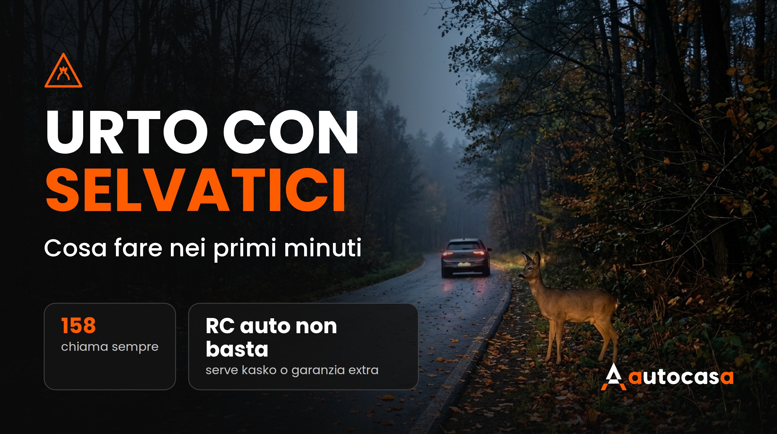 Incidente con animali selvatici in Slovacchia e Cechia: cosa fare e quando paga l’assicurazione