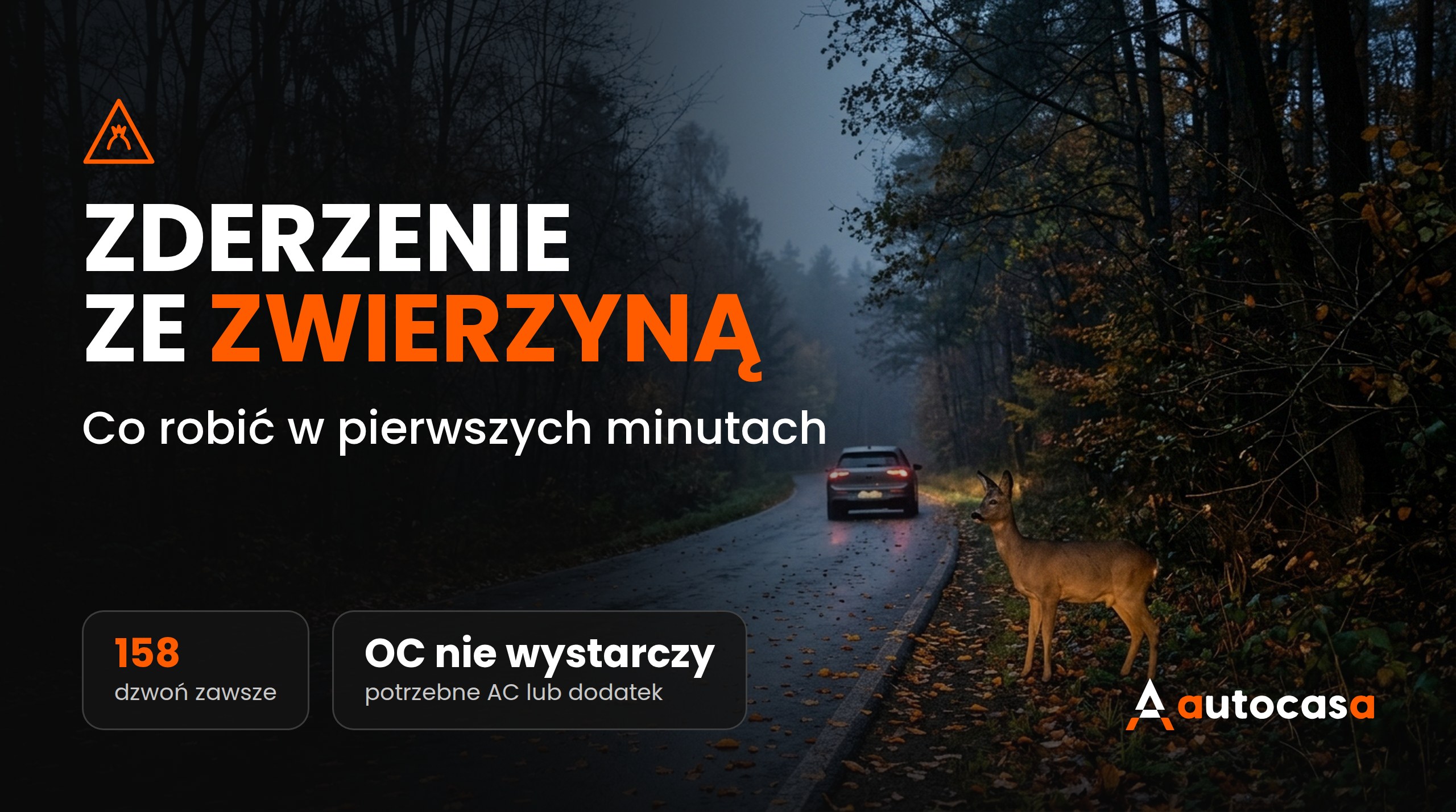 Zderzenie ze zwierzyną na Słowacji i w Czechach: co robić i kiedy zapłaci ubezpieczyciel