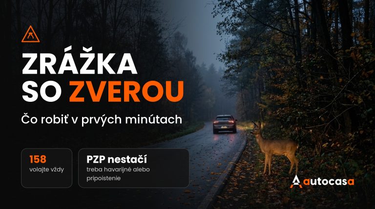 Srnec pri okraji lesnej cesty osvetlený svetlami auta za súmraku