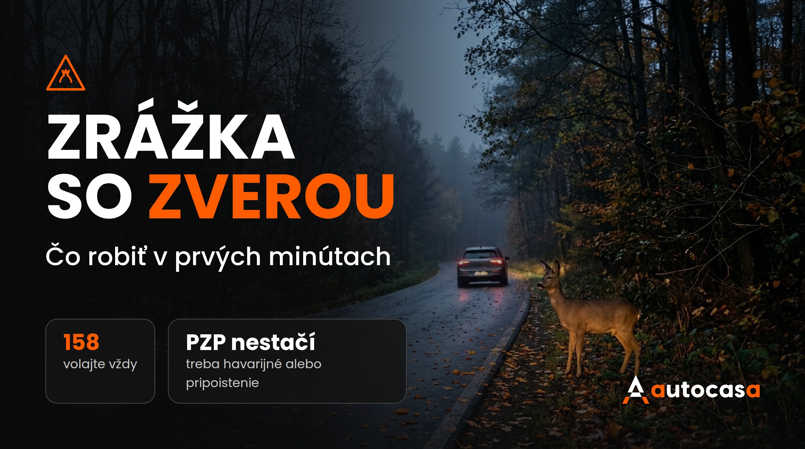 Zrážka so zverou: Čo robiť v prvých minútach a kedy vám poisťovňa zaplatí