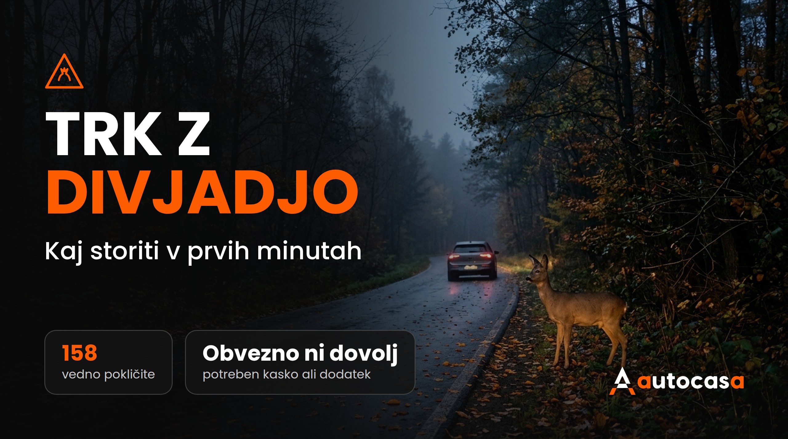 Trk z divjadjo na Slovaškem in Češkem: kaj storiti in kdaj plača zavarovalnica